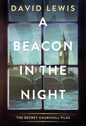 A Beacon in the Night
