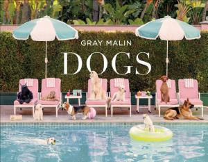 Gray Malin: Dogs