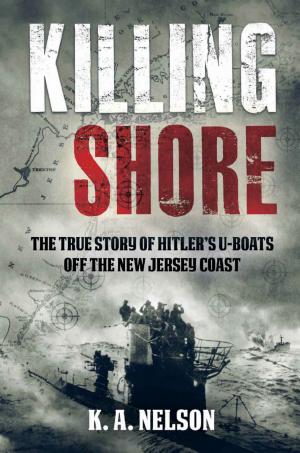 Killing Shore