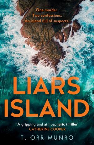 Liars Island (The CSI Ally Dymond series, Book 3)