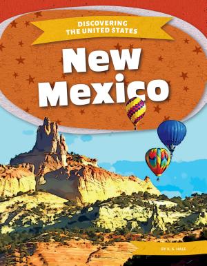New Mexico