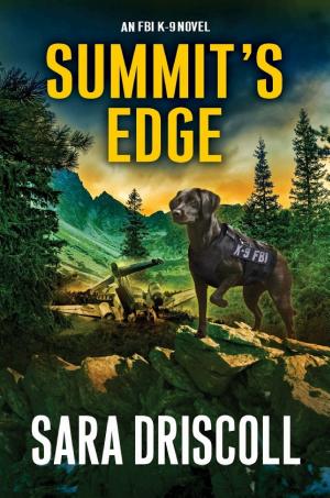 Summit’s Edge