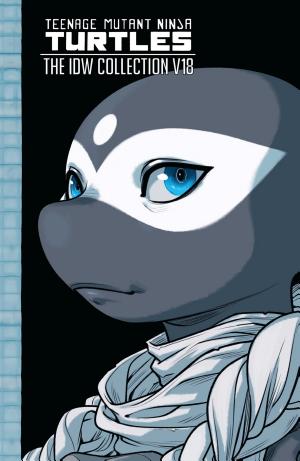 Teenage Mutant Ninja Turtles: The IDW Collection, Vol. 18