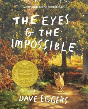 The Eyes and the Impossible