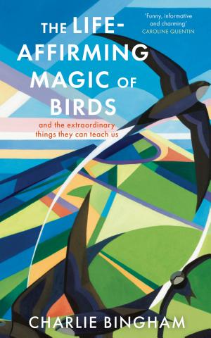 The Life Affirming Magic of Birds
