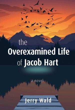 The Overexamined Life of Jacob Hart