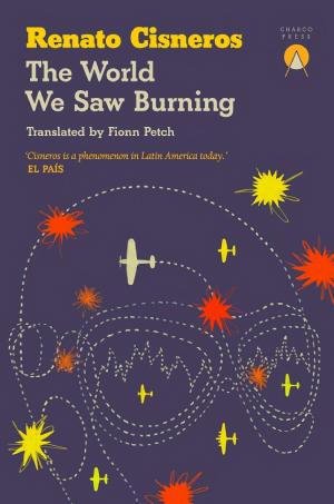 The World We Saw Burning