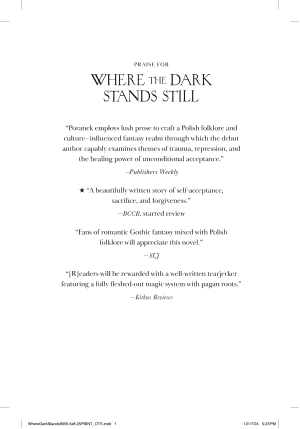 Where the Dark Stands Still