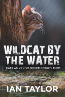Wildcat By The Water